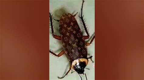 louis vuitton cockroach